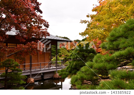 Scenery of autumn leaves Scenery of autumn leaves 143385922