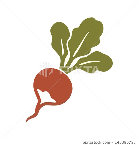 A simple, modern graphic illustration of a radish with green leaves, perfect for healthy eating or gardening themes. A simple, modern graphic illustration of a radish with green leaves, perfect for healthy eating or gardening themes. 143386755