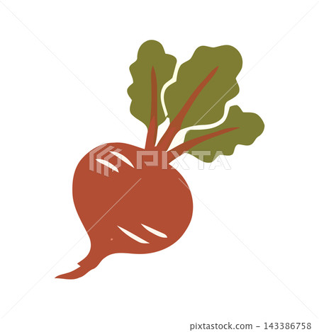 Stylized illustration of a beetroot with vibrant green leaves, isolated on a white background. Stylized illustration of a beetroot with vibrant green leaves, isolated on a white background. 143386758