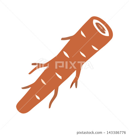 A simple, stylized illustration of a ginger root, a versatile and healthy ingredient for cooking and wellness. 143386776