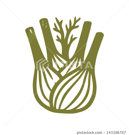 Stylized illustration of a fennel bulb with green fronds. Hand-drawn graphic element for healthy eating and cooking. Stylized illustration of a fennel bulb with green fronds. Hand-drawn graphic element for healthy eating and cooking. 143386787