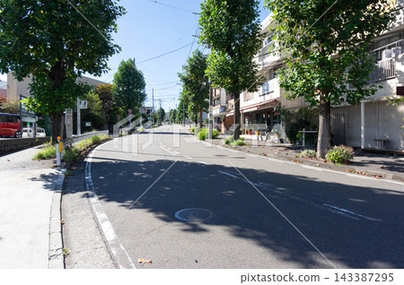 埃達基塔的行道樹 埃達基塔的行道樹 143387295
