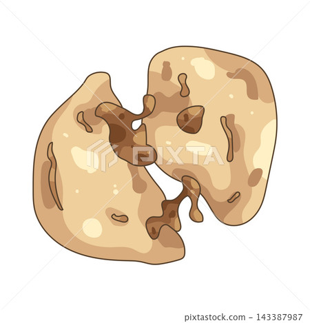 Illustration of soft cookie Illustration of soft cookie 143387987