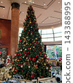 Tall tree 143388995