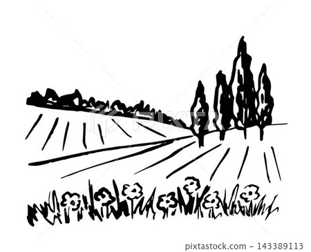 Rural landscape, fields, meadows, cypress trees, flowers in the foreground, nature, wild herbs. Countryside, plant growing. Simple vector freehand drawing in black outline. Rural landscape, fields, meadows, cypress trees, flowers in the foreground, nature, wild herbs. Countryside, plant growing. Simple vector freehand drawing in black outline. 143389113