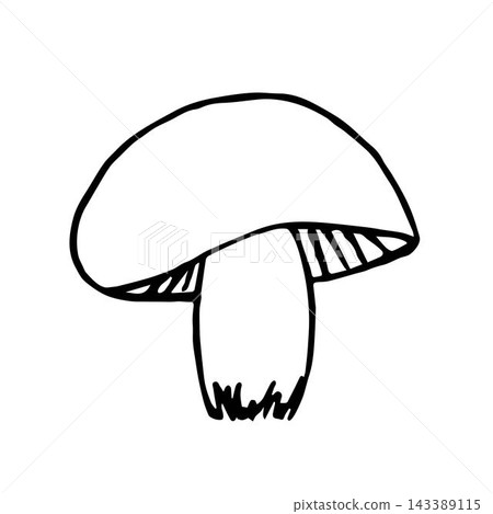 Hand-drawn simple vector drawing in black outline. Edible mushroom isolated on white background. For prints, forest plant, labels, ingredient, recipe, menu, vegetarian. Hand-drawn simple vector drawing in black outline. Edible mushroom isolated on white background. For prints, forest plant, labels, ingredient, recipe, menu, vegetarian. 143389115