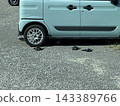 Pigeon resting place ☆mar_lapin 143389766