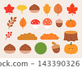 Collection of cute autumn plant illustrations. 143390326