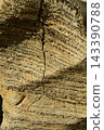 Sectional sedimentary rocks texture or background. 143390788