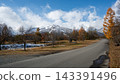 Snow-capped Northern Alps and trees with autumn foliage in Hakuba Village, Nagano Prefecture 143391496