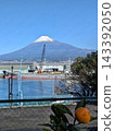 從山頂眺望富士山、港口和橘子樹。 143392050