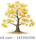 Perennial tree isolated on transparent background. 143392506