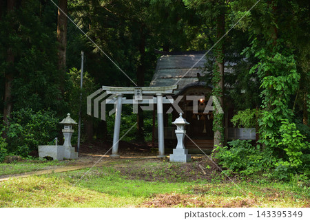 A shrine and torii gate nestled in a mountain forest. 143395349