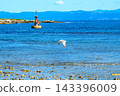 A seagull flying in front of a red buoy 143396009