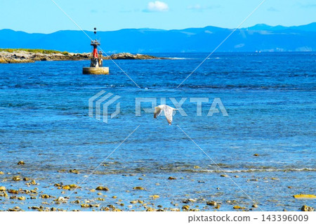 一隻海鷗飛過一個紅色浮標 一隻海鷗飛過一個紅色浮標 143396009