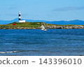 Seagulls flying over the sea in front of the lighthouse 143396010