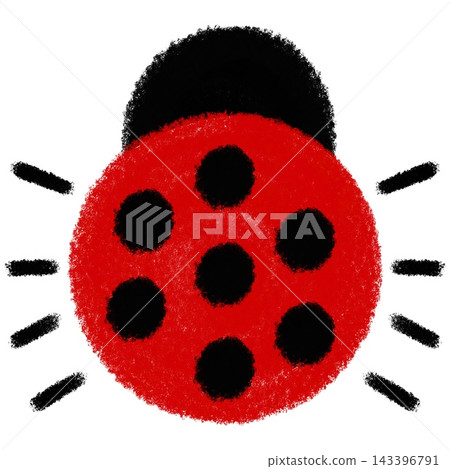 Cute red ladybug insect bug illustration Cute red ladybug insect bug illustration 143396791