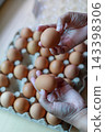 Hand Selecting Fresh Chicken Eggs from Egg Cartons 143398306