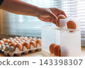 Hand Selecting Fresh Chicken Eggs from Egg Cartons 143398307