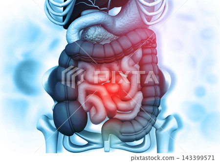Human body anatomy Human body anatomy 143399571