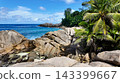 Large granite boulders along a rugged coastline with turquoise ocean waves and lush palm trees. Seychelles, Mahe. 143399667