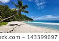 Palm tree leaning over a white sandy beach with turquoise sea, lush green vegetation, and blue sky. Seychelles, Praslin. Anse Georgette. 143399697