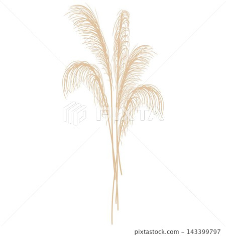 Dry autumn decorative branches bouquet isolated on white background. Vector hand drawn cartoon illustration for harvest design, packaging, rustic decor, sticker Dry autumn decorative branches bouquet isolated on white background. Vector hand drawn cartoon illustration for harvest design, packaging, rustic decor, sticker 143399797