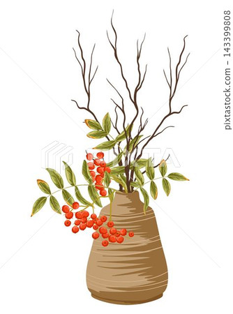 Autumn hygge ceramic vase with dry branches and rowanberries isolated on white background. Vector hand drawn illustration for home decor, seasonal design, packaging decoration 143399808