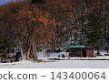 A persimmon tree stands out against the backdrop of fresh snow. 143400064