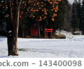 Fresh snow, a red torii gate, and a persimmon tree. 143400098