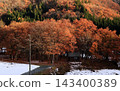 A mountain village landscape with fresh snow and autumn leaves. 143400389