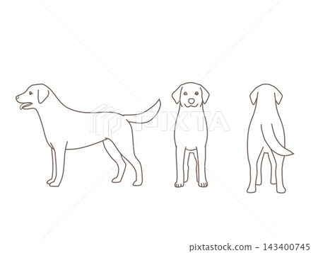 簡單的狗插畫 簡單的狗插畫 143400745