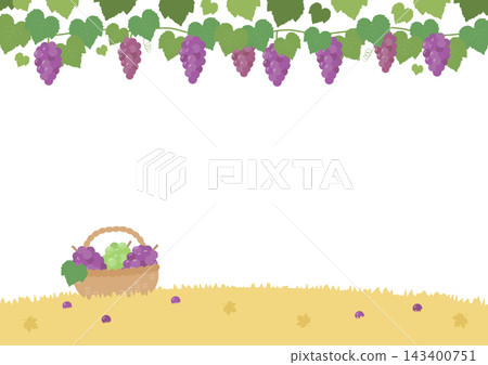Grape background illustration, a taste of autumn Grape background illustration, a taste of autumn 143400751