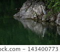 Gray heron 143400773