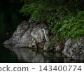 Gray heron 143400774