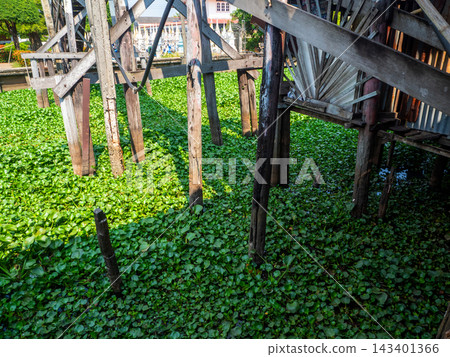 An old wooden bridge spans a canal overgrown with water hyacinths An old wooden bridge spans a canal overgrown with water hyacinths 143401366