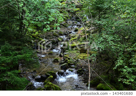 硫磺山、橫岳攀登，八嶽山脈，長野縣，山梨縣 143401680