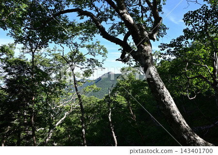 Mt. Iwo, Mt. Yokodake climbing, Yatsugatake Mountains, Nagano Prefecture, Yamanashi Prefecture Mt. Iwo, Mt. Yokodake climbing, Yatsugatake Mountains, Nagano Prefecture, Yamanashi Prefecture 143401700
