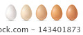 Set of five chicken eggs in a color gradient from white to brown on a white background. 143401873