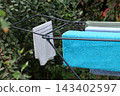 white shirt hanging on the shopping cart 143402597