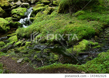 硫磺山、橫岳攀登，八嶽山脈，長野縣，山梨縣 143402826