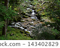 硫磺山、橫岳攀登，八嶽山脈，長野縣，山梨縣 143402829