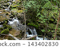 硫磺山、橫岳攀登，八嶽山脈，長野縣，山梨縣 143402830