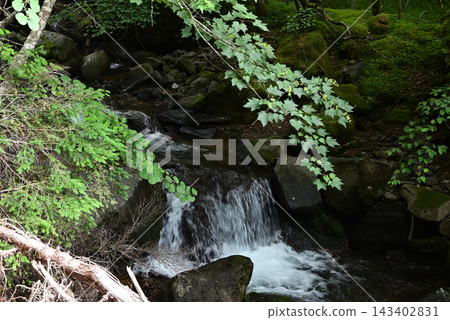 硫磺山、橫岳攀登,八嶽山脈,長野縣,山梨縣 硫磺山、橫岳攀登,八嶽山脈,長野縣,山梨縣 143402831