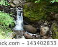 硫磺山、橫岳攀登，八嶽山脈，長野縣，山梨縣 143402833