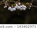 櫻花水滴 #5 ● 626元 143402973