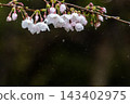 櫻花水滴 #6 ● 1043元 143402975