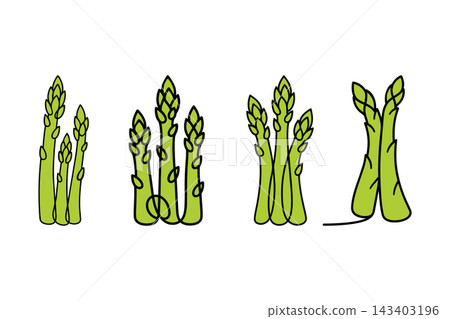 Aspargus illustration in vector line art drawing style Aspargus illustration in vector line art drawing style 143403196