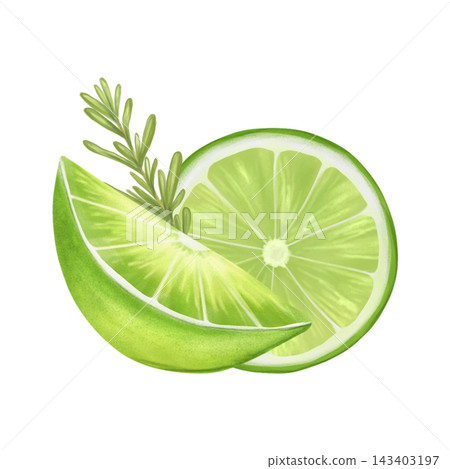 Watercolor composition of juicy citrus fruits with mint leaves. Lemon, grapefruit, lime slices. Hand drawn watercolor illustration isolated on white background. Suitable for printing, menus, dishes. Watercolor composition of juicy citrus fruits with mint leaves. Lemon, grapefruit, lime slices. Hand drawn watercolor illustration isolated on white background. Suitable for printing, menus, dishes. 143403197