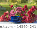 Afternoon tea in the blooming garden by sunny day 143404241